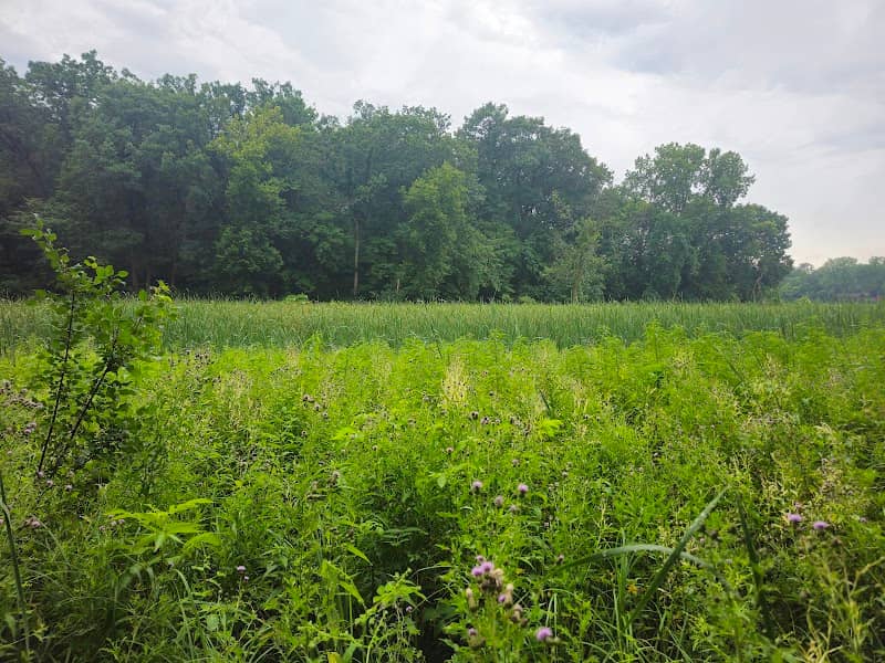 Lake Rose Park - Image 1