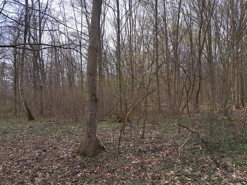 Lübben Spreewald - Image 1