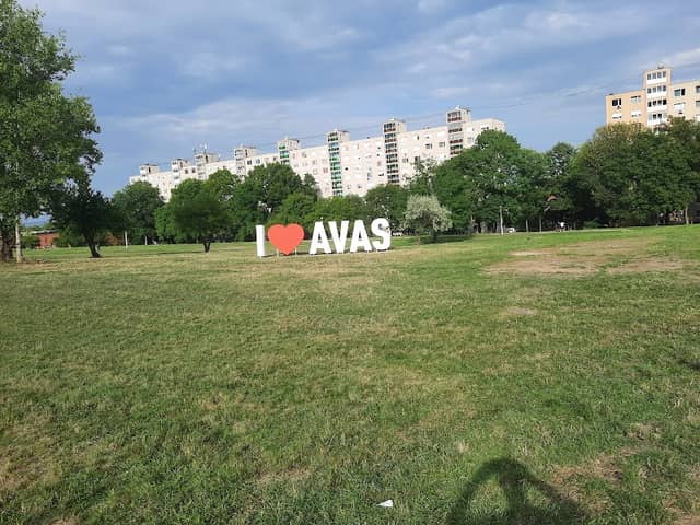I Love Avas - Image 2