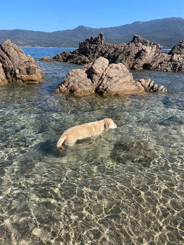 Portigliolo beach - Image 2