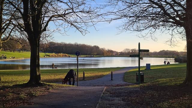 Fairlands Valley Park - Image 3