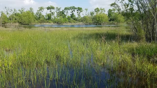 Shadow Creek Ranch Nature Trail - Image 1