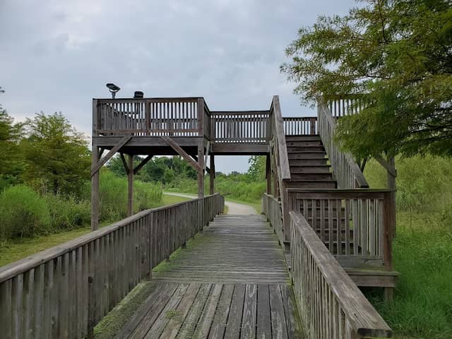 Shadow Creek Ranch Nature Trail - Image 3