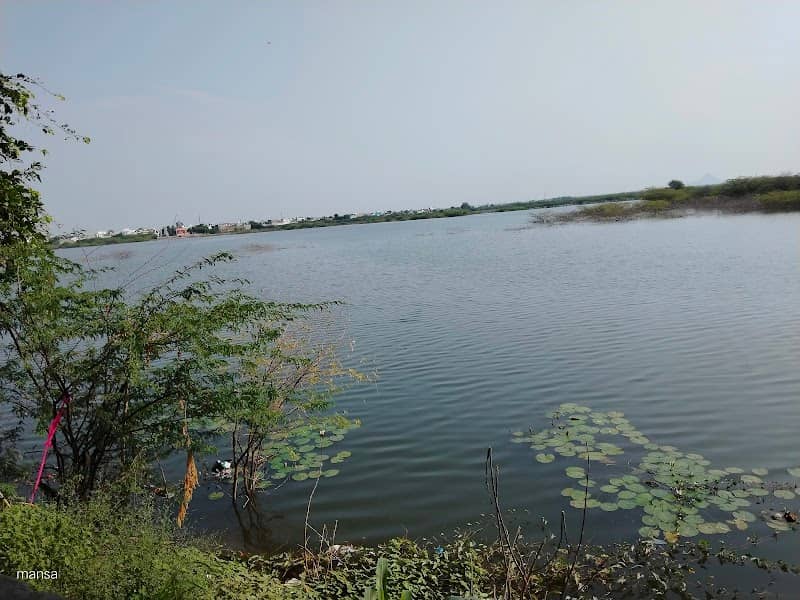 Lordiya Talab,Pali - Image 1