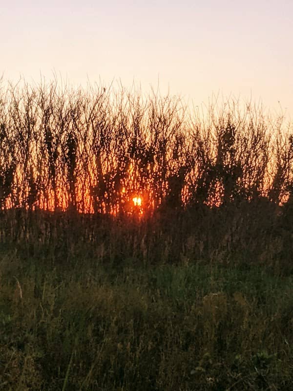 Mora Conservation Area - Image 2