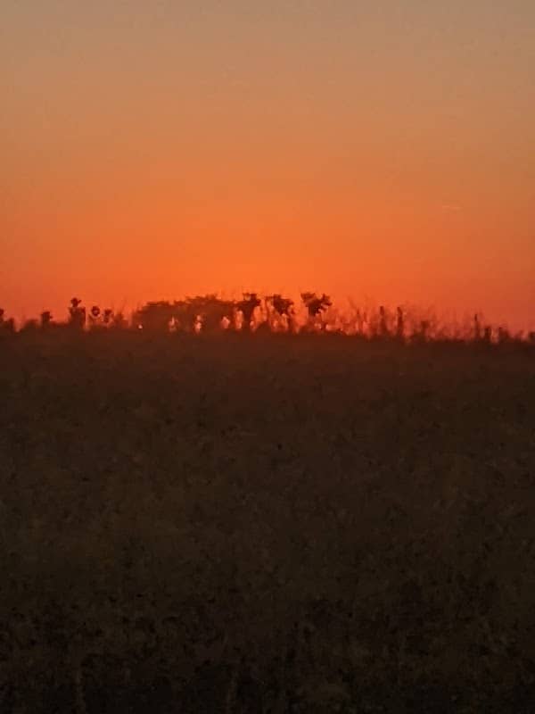 Mora Conservation Area - Image 1