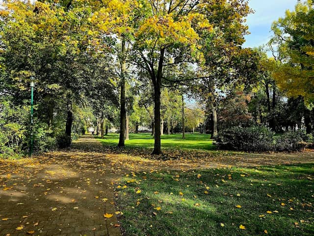 Park der Jugend - Image 2
