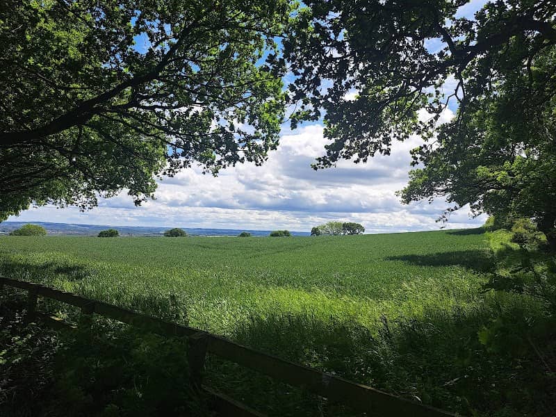 Bowes railway path - Image 2