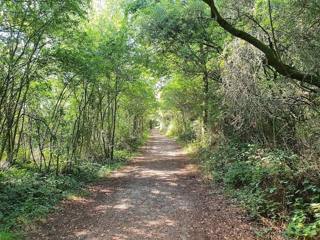 Whisby Nature Park - Image 1