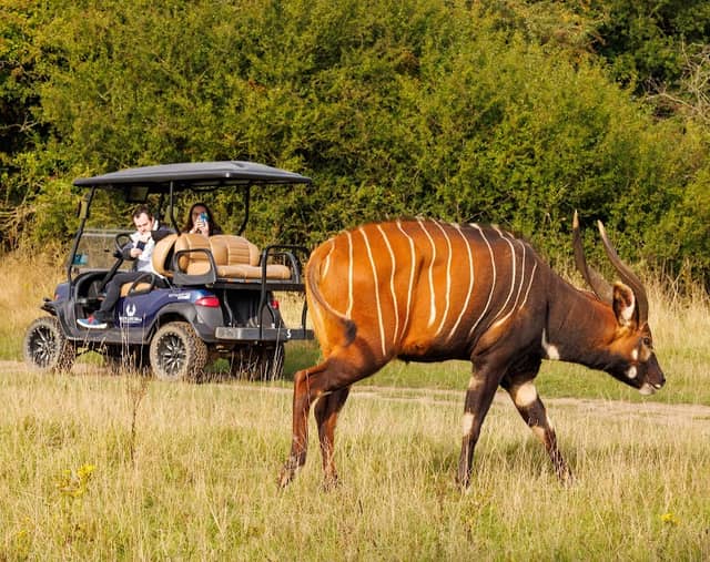 Watatunga Wildlife Reserve - Image 1