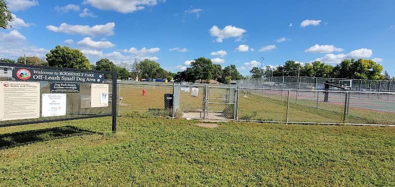 Roosevelt Park - Image 1