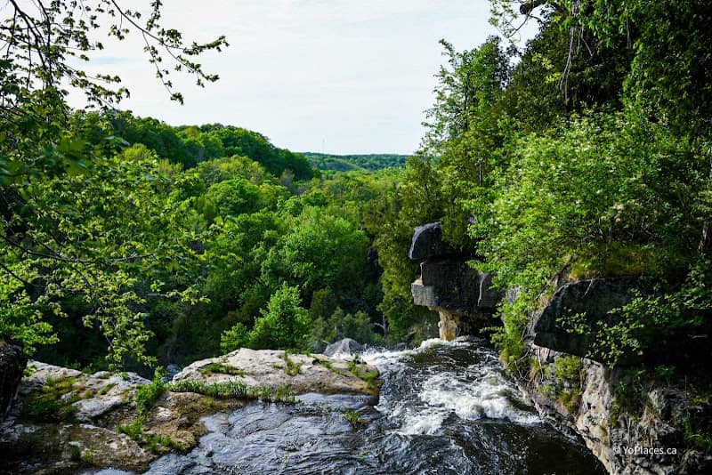 Inglis Falls Conservation Area - Image 2