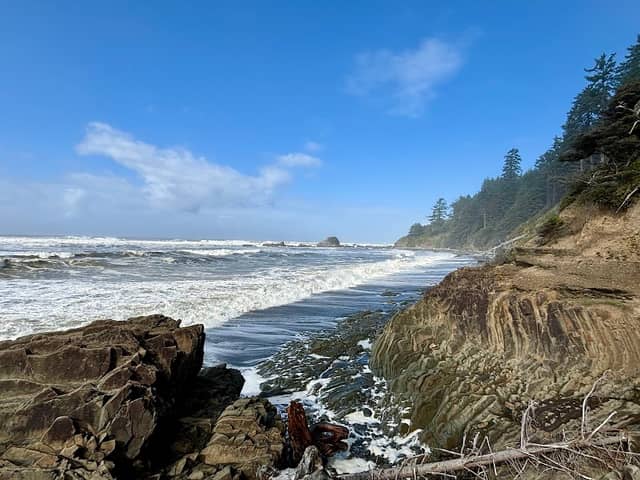 Beach 4 Nature Trail - Image 1
