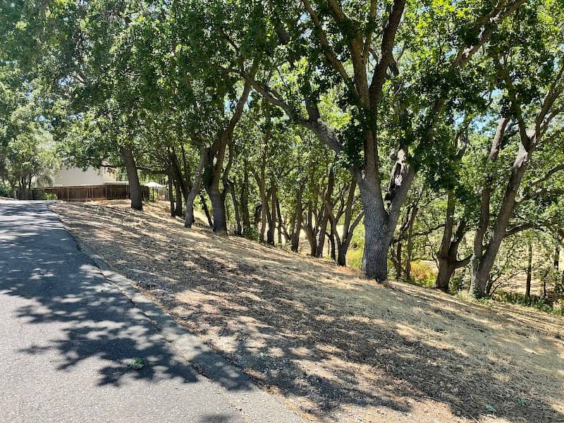 Dana Hills Park - Image 3