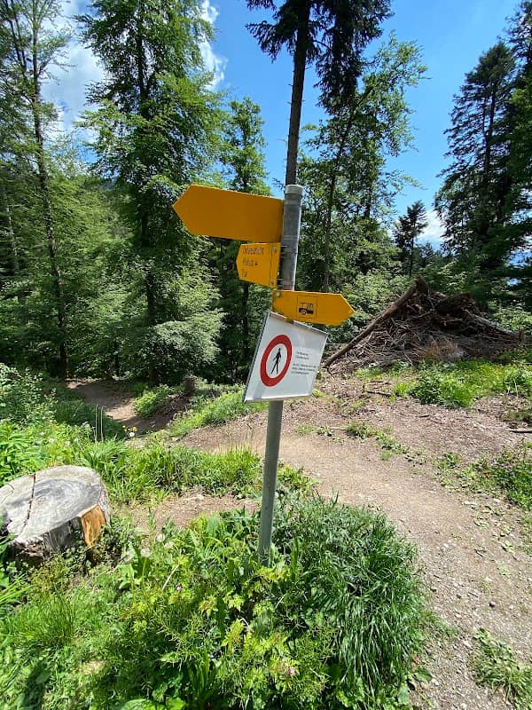 Cholerenschlucht - Image 2