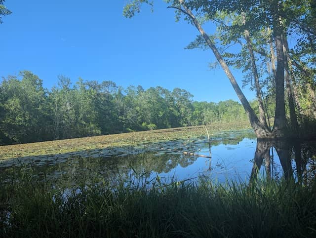 Ghentsville Park - Image 1