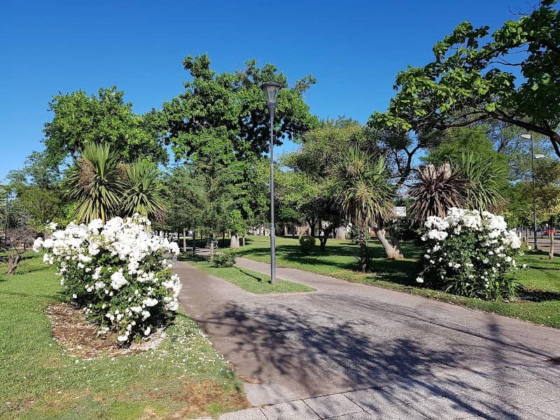 Plaza Pellegrini - Image 2