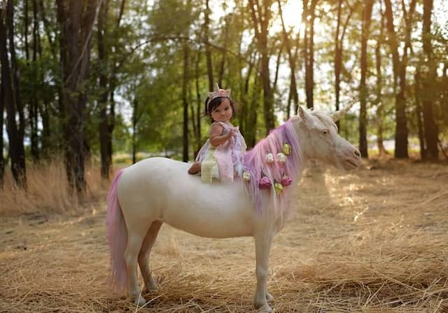 Appt. Only Utah Pony Party - Image 1