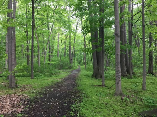 Kingswood Park - Image 1