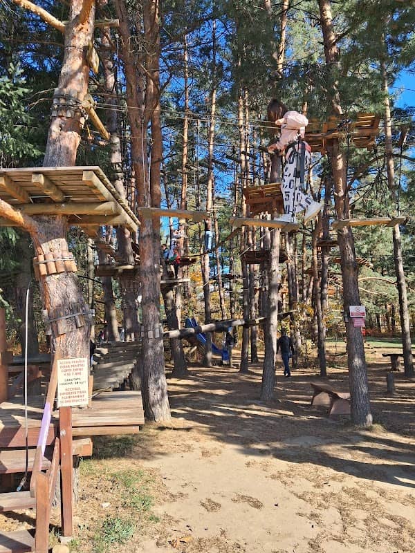 Ariniș Adventure Park - Image 1