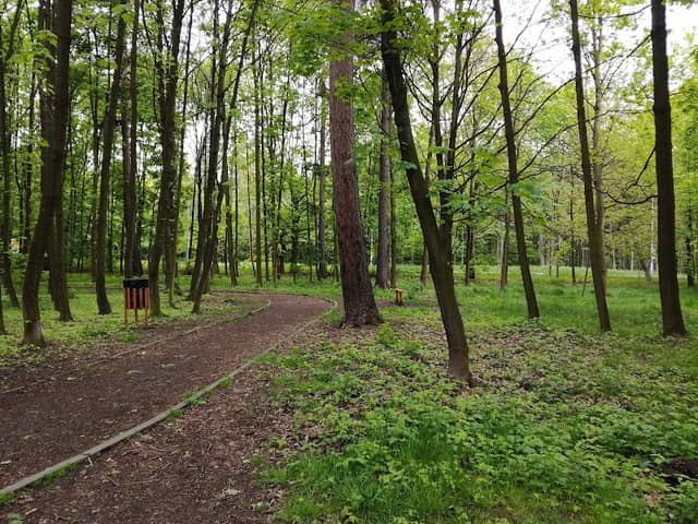 Malý les - Image 1