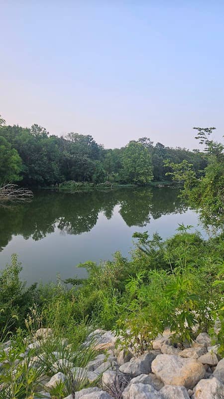 Walk trail - Image 2