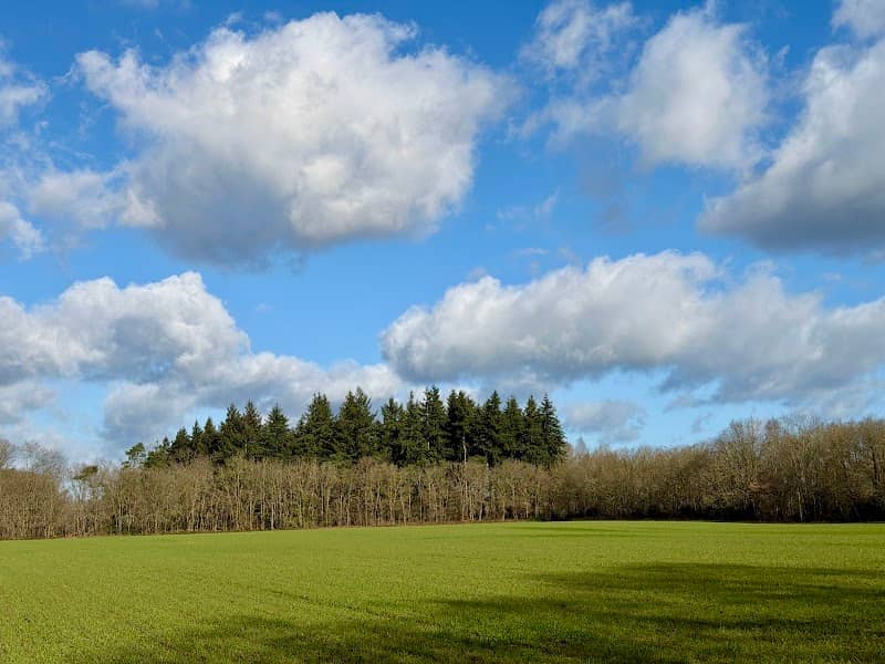 Landgoed Rheebruggen - Image 1