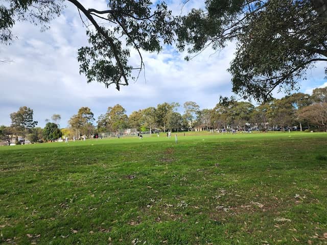 Upjohn Park - Image 2