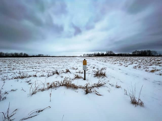 Lawin Sedge Meadow State Natural Area - Image 2