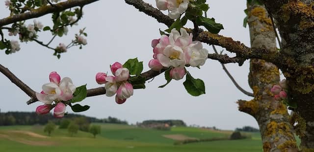 Neudorf Nature Reserve - Image 2