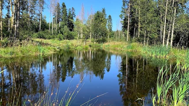 Neudorf Nature Reserve - Image 1