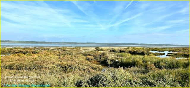 Praia fluvial, da comporta - Image 1
