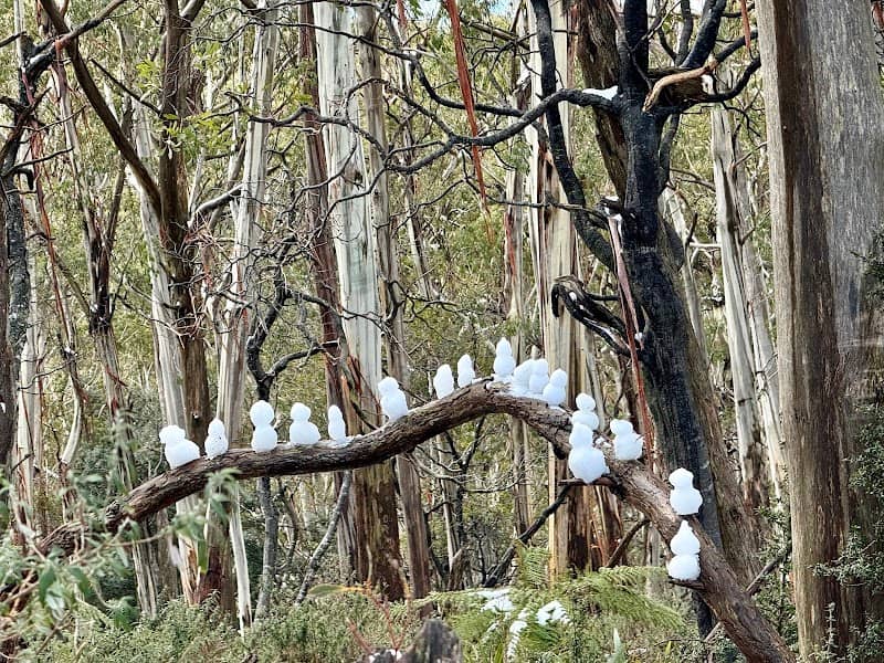 Mount Donna Buang Snow Play - Image 1