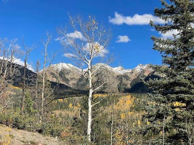 Engineer trail start - Image 1