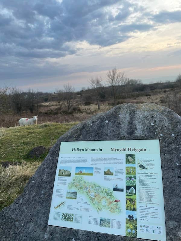 Leisure Tour - Marker 003 - Image 1