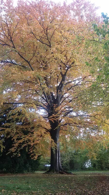 Tillmanns Park - Image 1