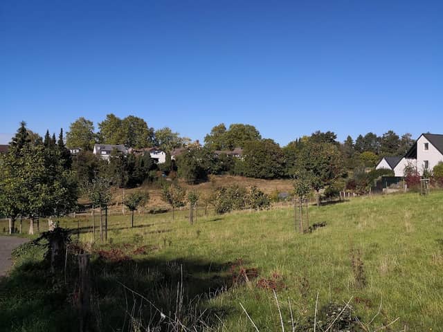 Tillmanns Park - Image 2