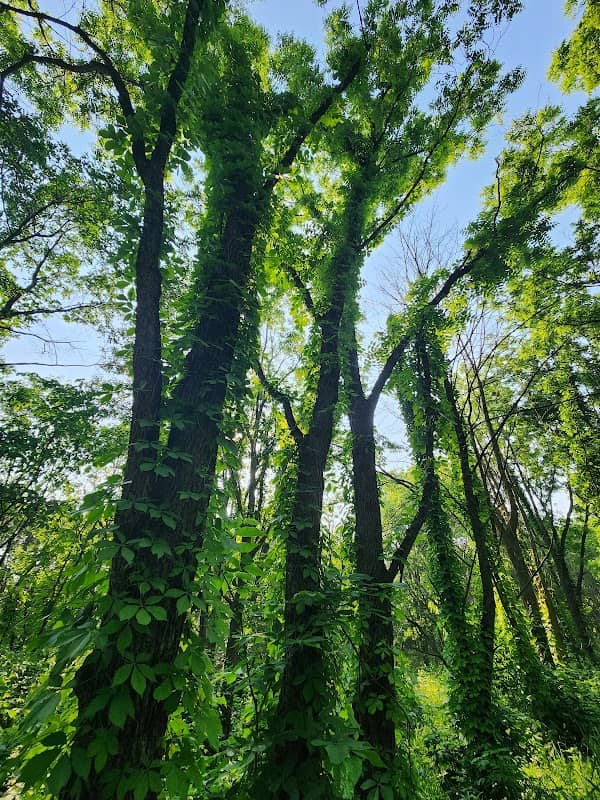 Lancaster Trails - Image 2
