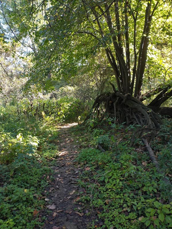 Keith Richard Walner Nature Preserve - Image 2