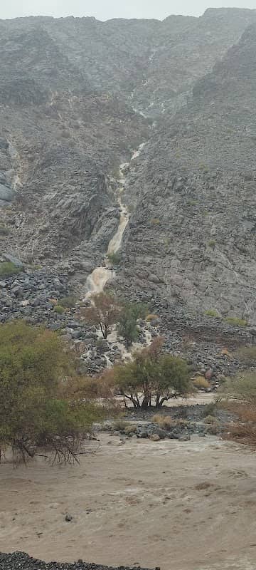 بني توبه - Image 1