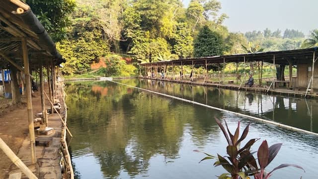 Pemancingan Bang Jiun Harian Ikan Campur - Image 2