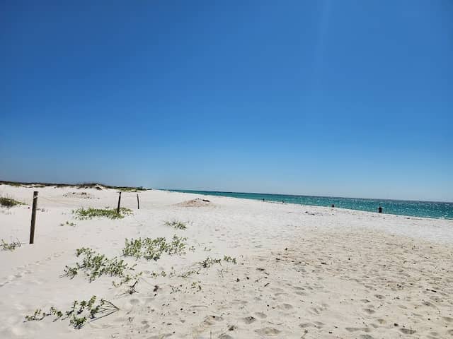 Opal Beach - Image 2