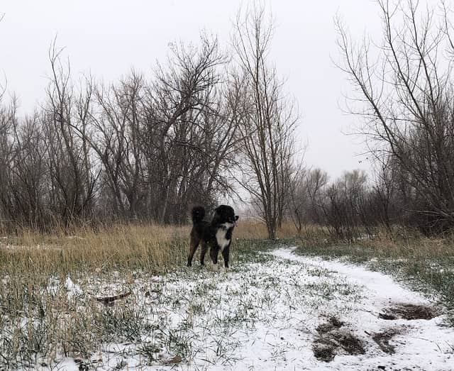 Fountain Creek Trail - Image 1