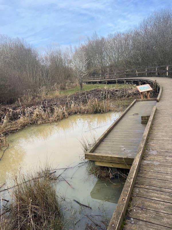 Hanwell Brook Wetland - Image 1