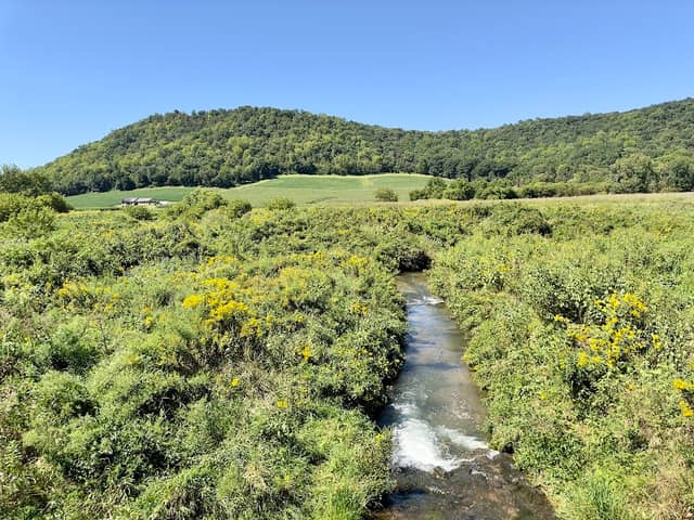 Coon Creek Cliffs State Natural Area - Image 1