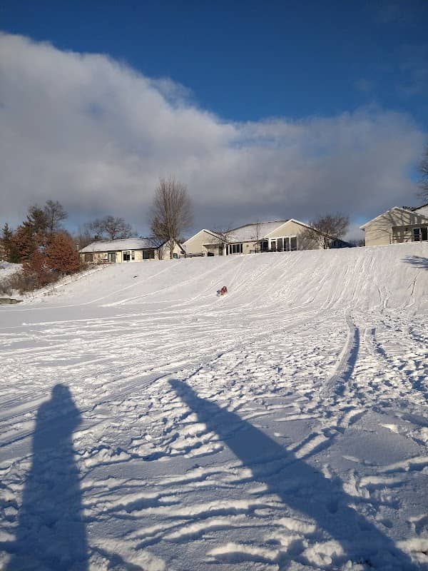 Sarocka Field - Image 2