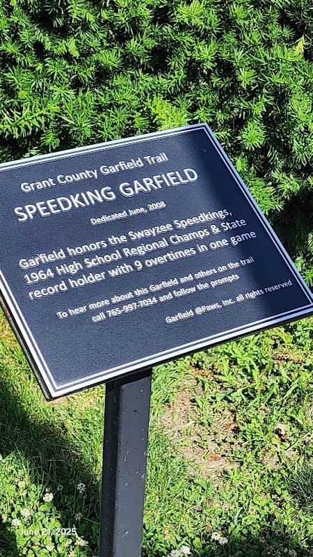 Speedking Garfield - Image 1