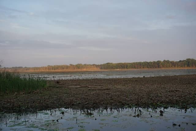 LaSalle Fish & Wildlife Area - Image 1