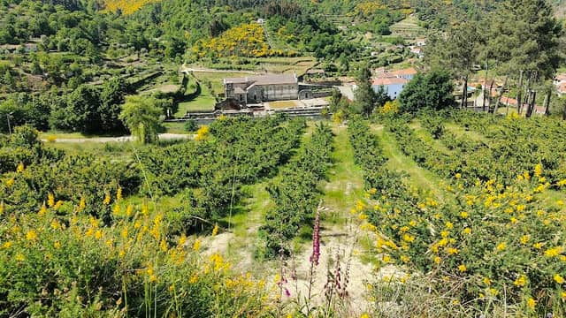 Parque de merendas e miradouro - Image 1