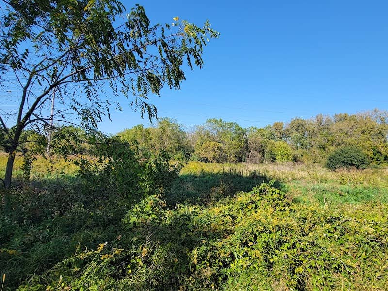 Brennens park - Image 1